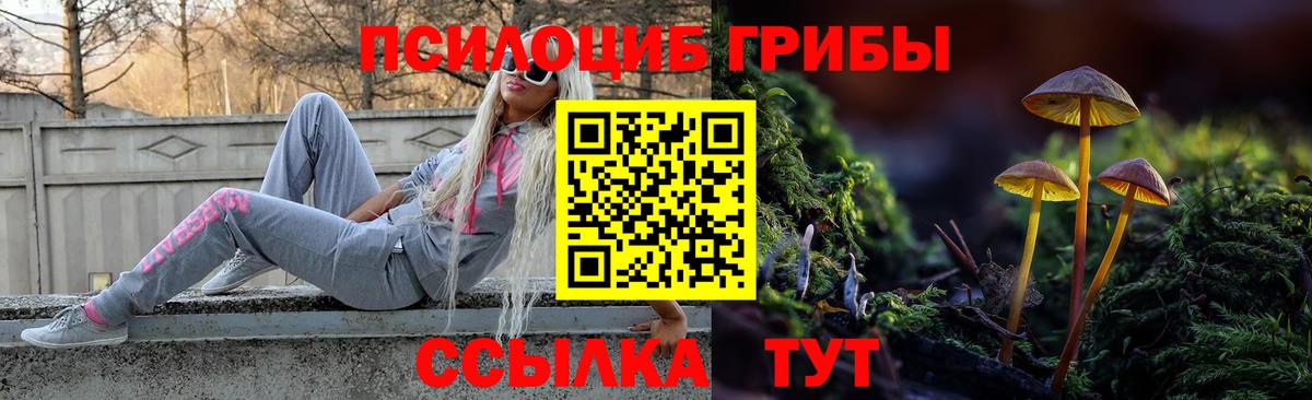 Псилоцибиновые грибы GOLDEN TEACHER  Вход с VPN  Белово 